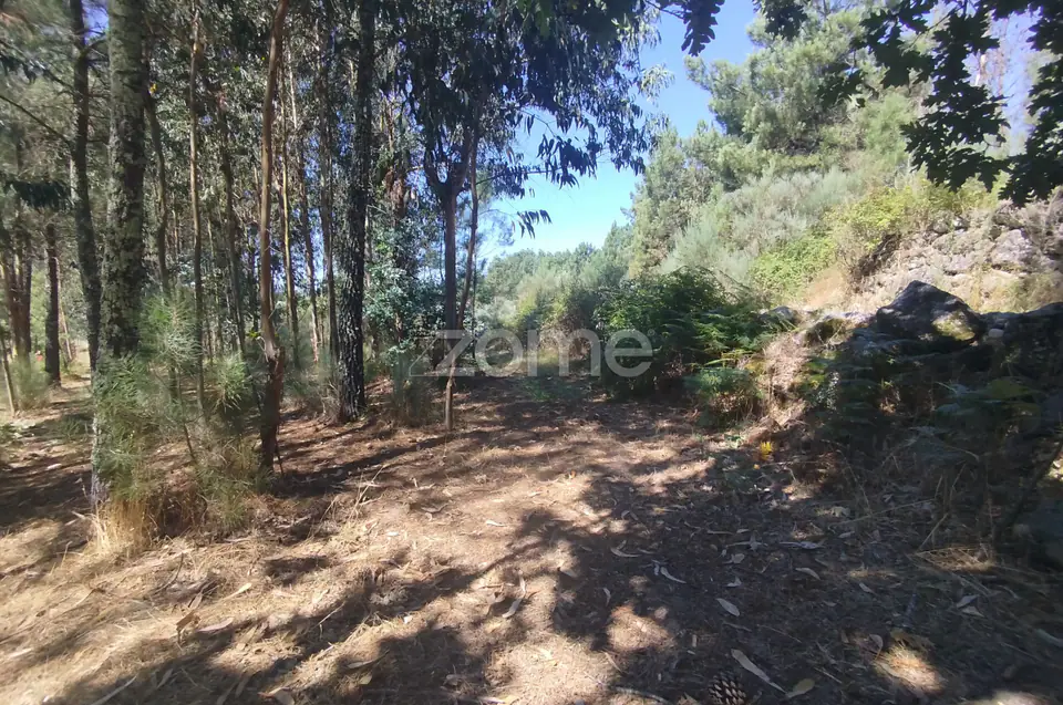 Ruína em Pedra, Palheiro escavado em pedras — imagem 40