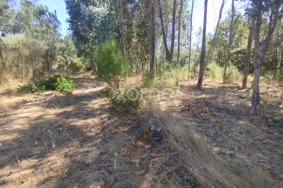 Ruína em Pedra, Palheiro escavado em pedras — imagem 35