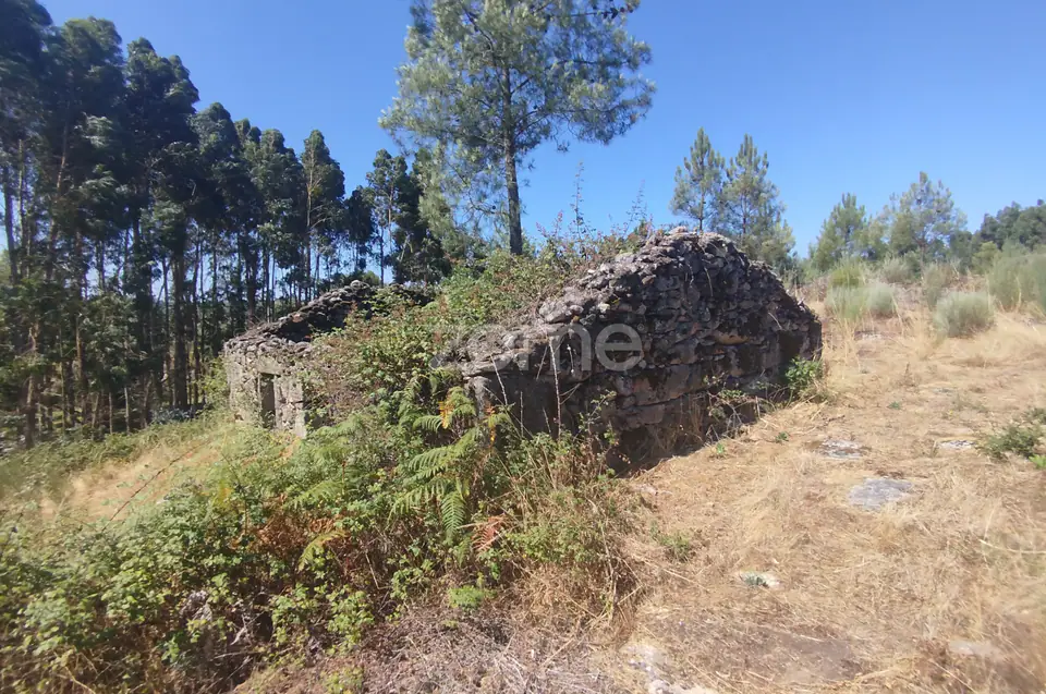 Ruína em Pedra, Palheiro escavado em pedras — imagem 29