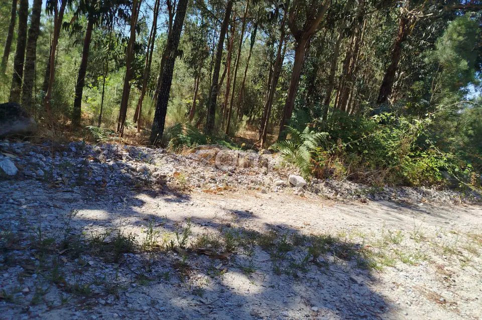 Ruína em Pedra, Palheiro escavado em pedras — imagem 48