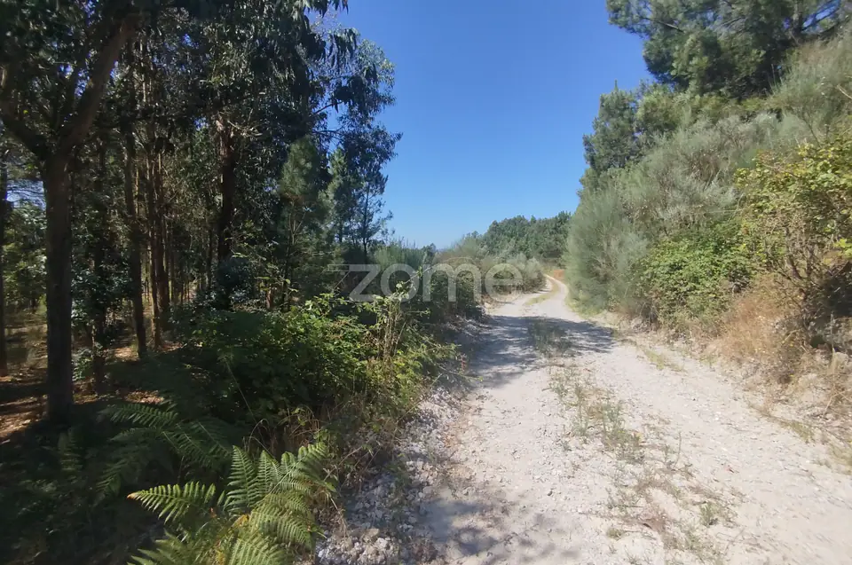 Ruína em Pedra, Palheiro escavado em pedras — imagem 47