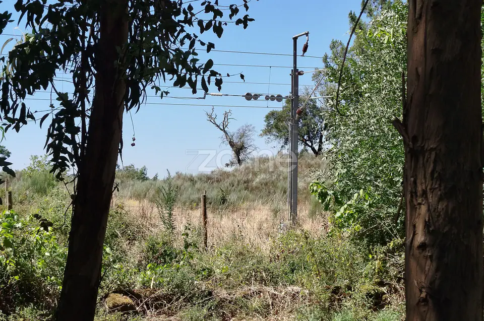 Ruína em Pedra, Palheiro escavado em pedras — imagem 7