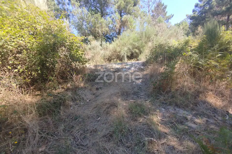 Ruína em Pedra, Palheiro escavado em pedras — imagem 39