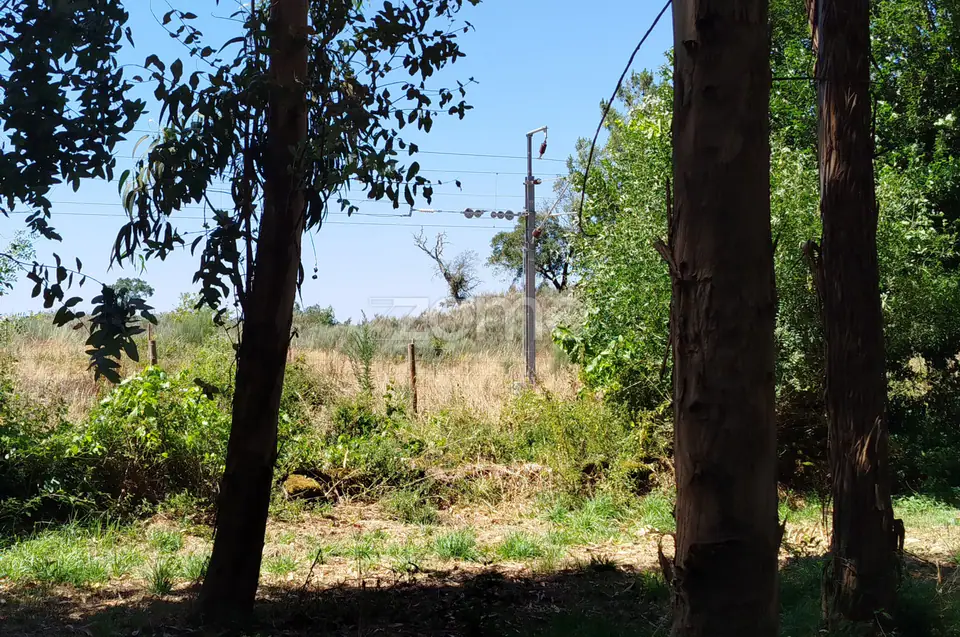 Ruína em Pedra, Palheiro escavado em pedras — imagem 9