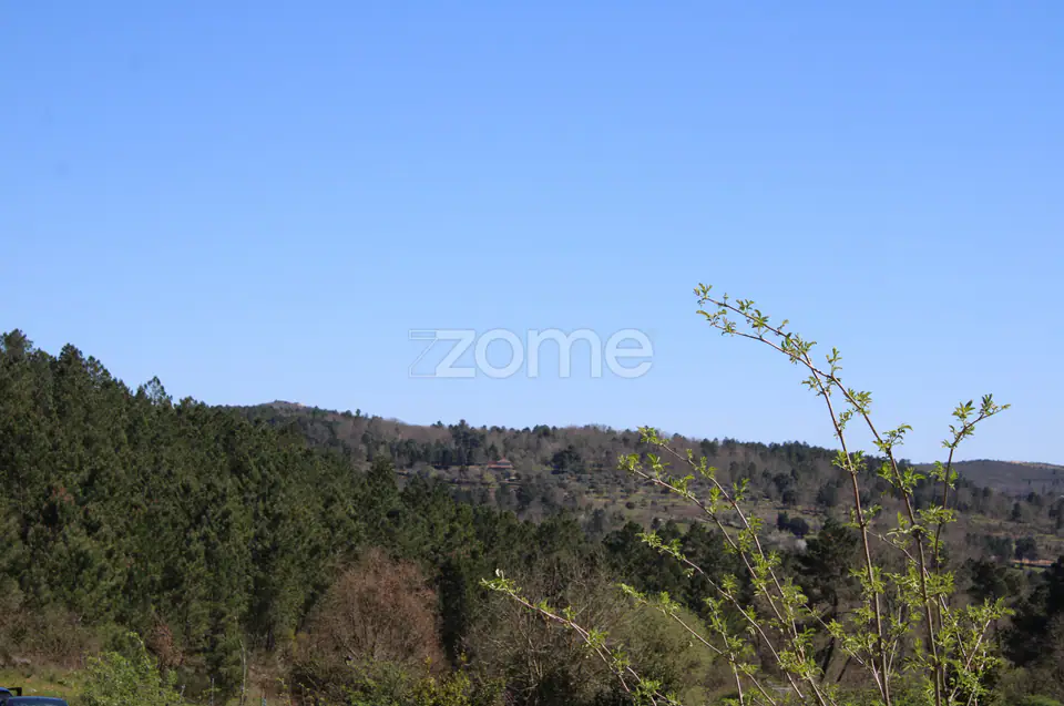 Lote de 940 m2, no monte de Nossa Senhora Do Castelo - Mangualde — imagem 13