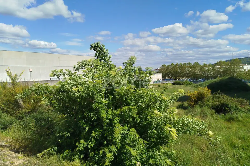 Lote de 940 m2, no monte de Nossa Senhora Do Castelo - Mangualde — imagem 12