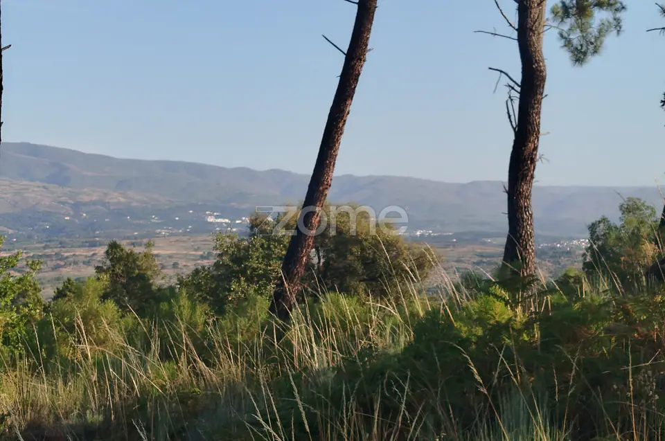 Terreno urbanizável, confinante c/ 2 arruamentos públicos pavimentos — imagem 3
