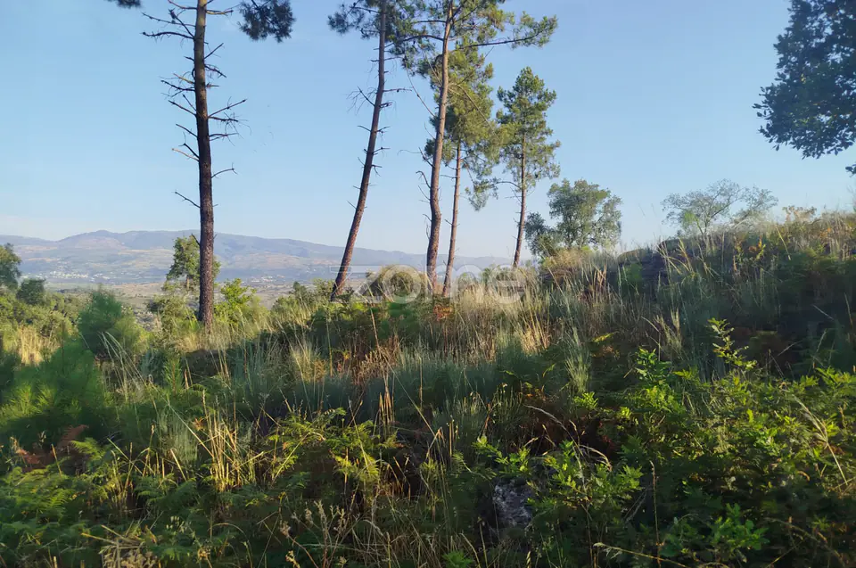 Terreno urbanizável, confinante c/ 2 arruamentos públicos pavimentos — imagem 11