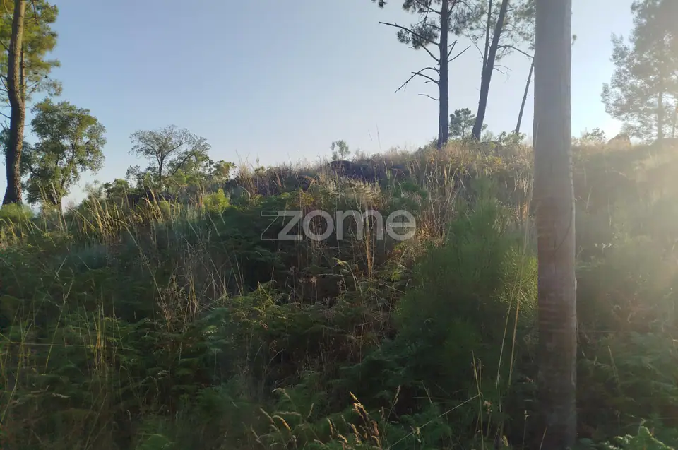 Terreno urbanizável, confinante c/ 2 arruamentos públicos pavimentos — imagem 21