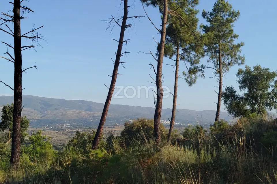 Terreno urbanizável, confinante c/ 2 arruamentos públicos pavimentos — imagem 5