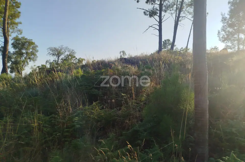 Terreno urbanizável, confinante c/ 2 arruamentos públicos pavimentos — imagem 17