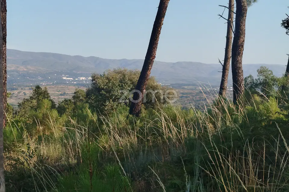 Terreno urbanizável, confinante c/ 2 arruamentos públicos pavimentos — imagem 2