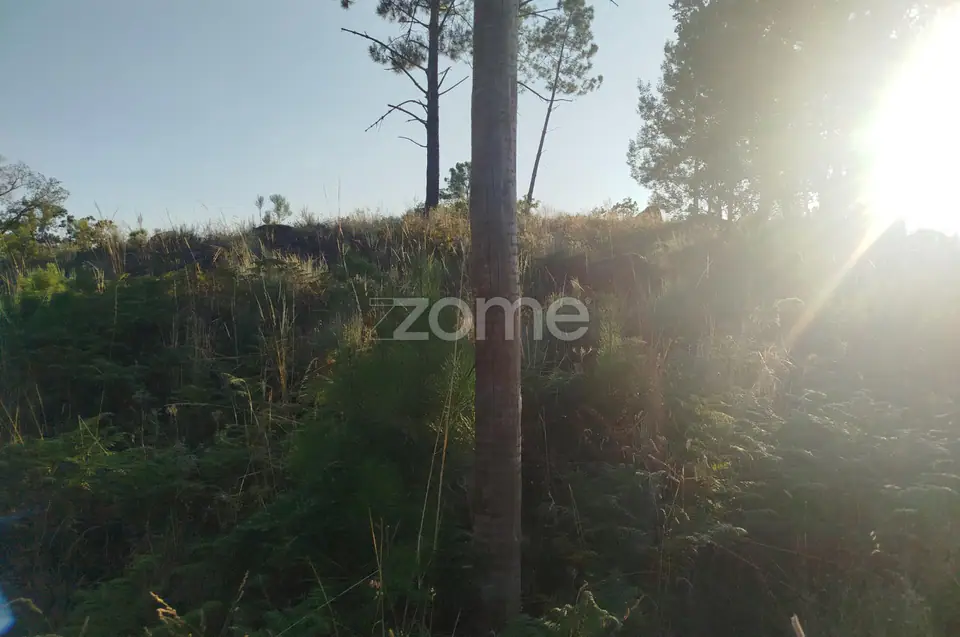 Terreno urbanizável, confinante c/ 2 arruamentos públicos pavimentos — imagem 23