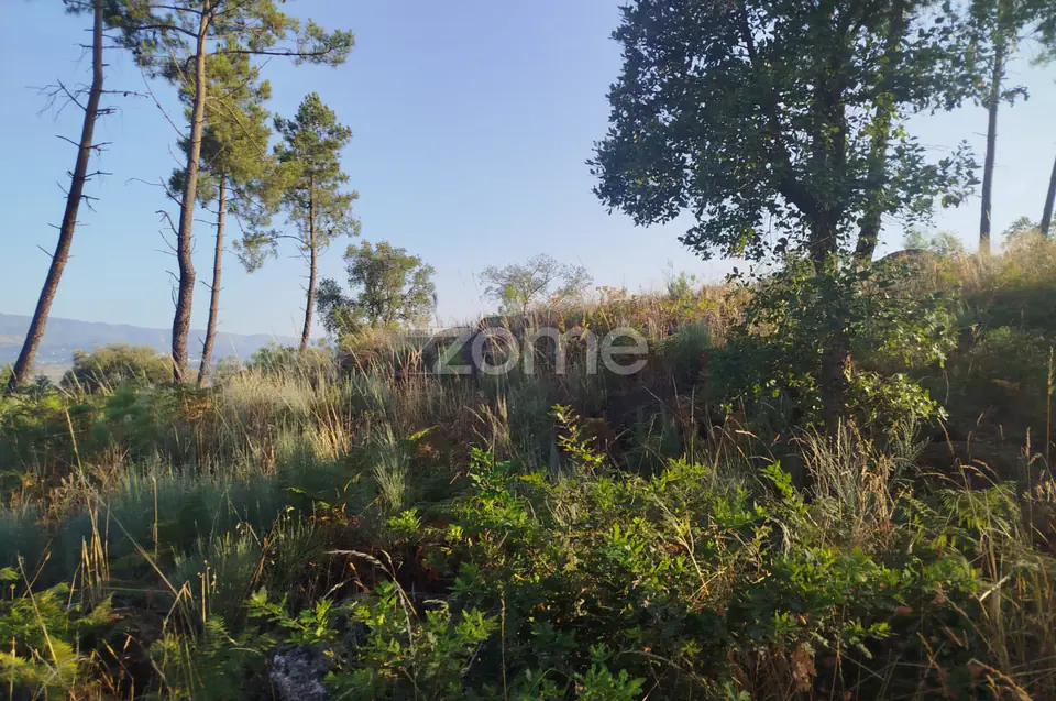 Terreno urbanizável, confinante c/ 2 arruamentos públicos pavimentos — imagem 10