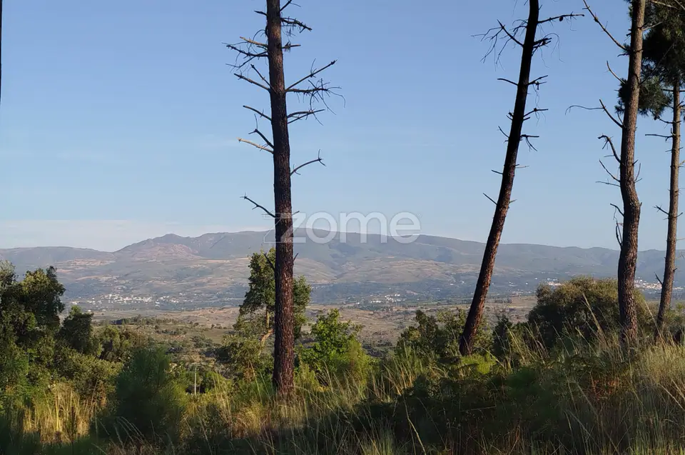 Terreno urbanizável, confinante c/ 2 arruamentos públicos pavimentos — imagem 7
