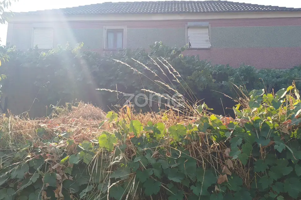 🏡✨ Maravilhosa Moradia T5 Rústica em Pedra Beirã Quintãs, Côta, Viseu — imagem 17