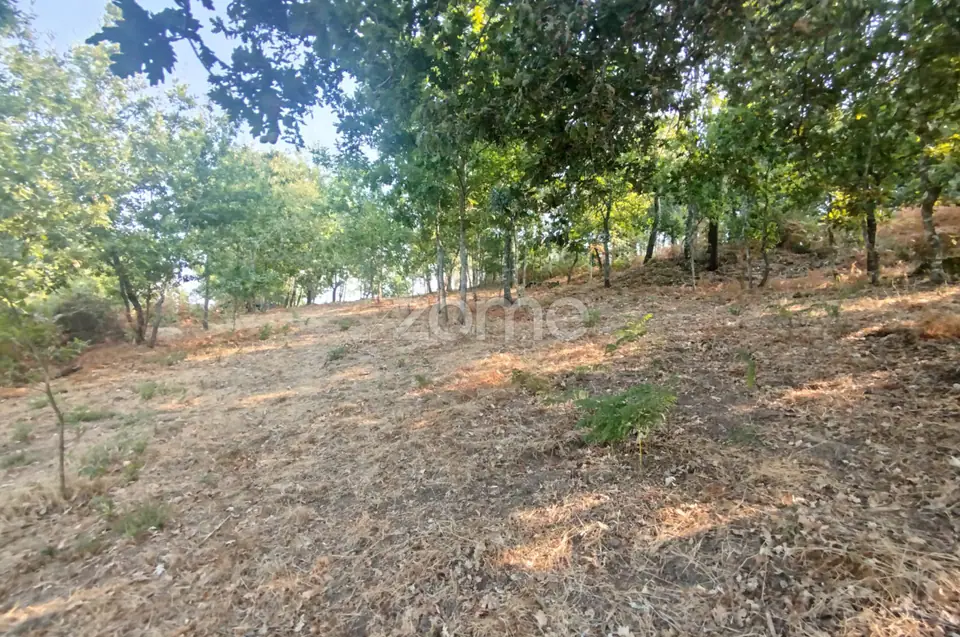 Terreno com 2.500 m2 urbanizaveis Energia, Água, Saneamento e Fibra — imagem 25