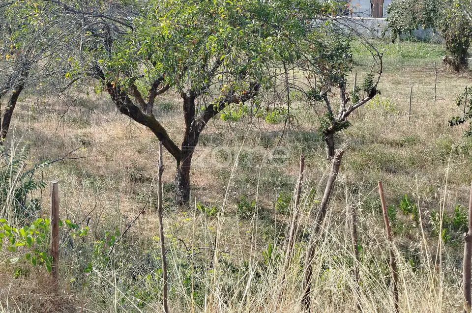 Terreno com 2.500 m2 urbanizaveis Energia, Água, Saneamento e Fibra — imagem 41