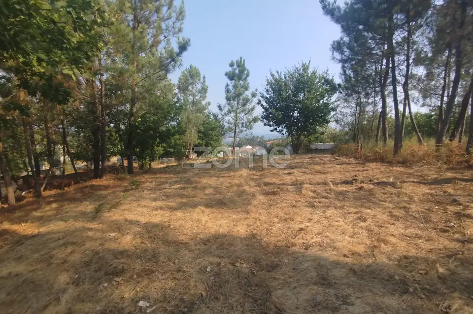 Terreno com 2.500 m2 urbanizaveis Energia, Água, Saneamento e Fibra — imagem 5