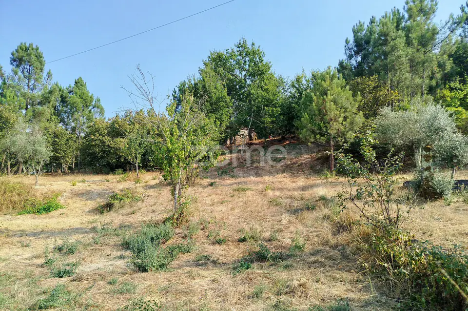 Terreno com 2.500 m2 urbanizaveis Energia, Água, Saneamento e Fibra — imagem 30