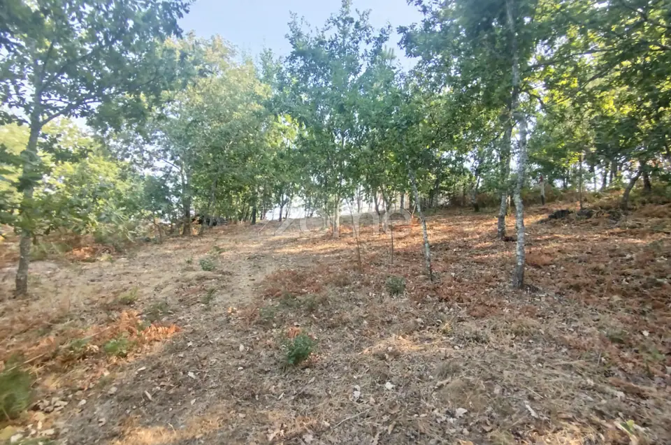 Terreno com 2.500 m2 urbanizaveis Energia, Água, Saneamento e Fibra — imagem 24