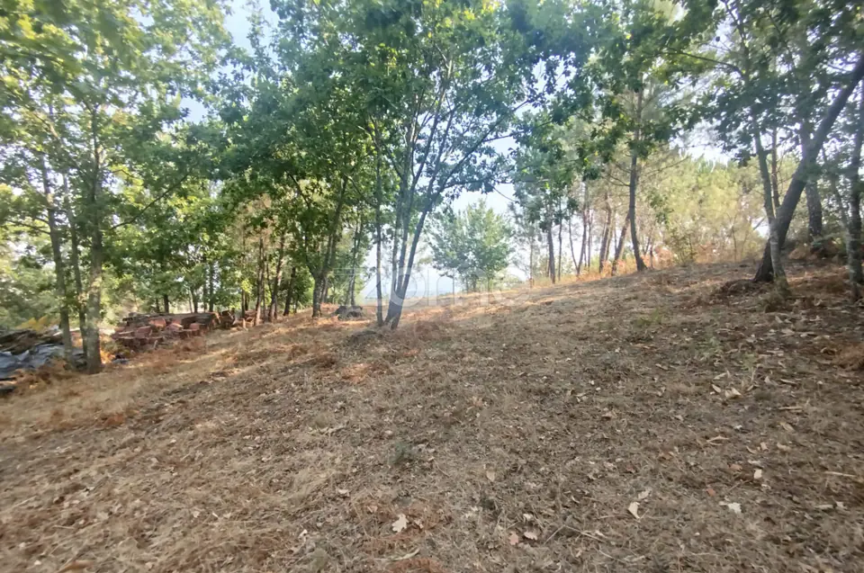 Terreno com 2.500 m2 urbanizaveis Energia, Água, Saneamento e Fibra — imagem 22