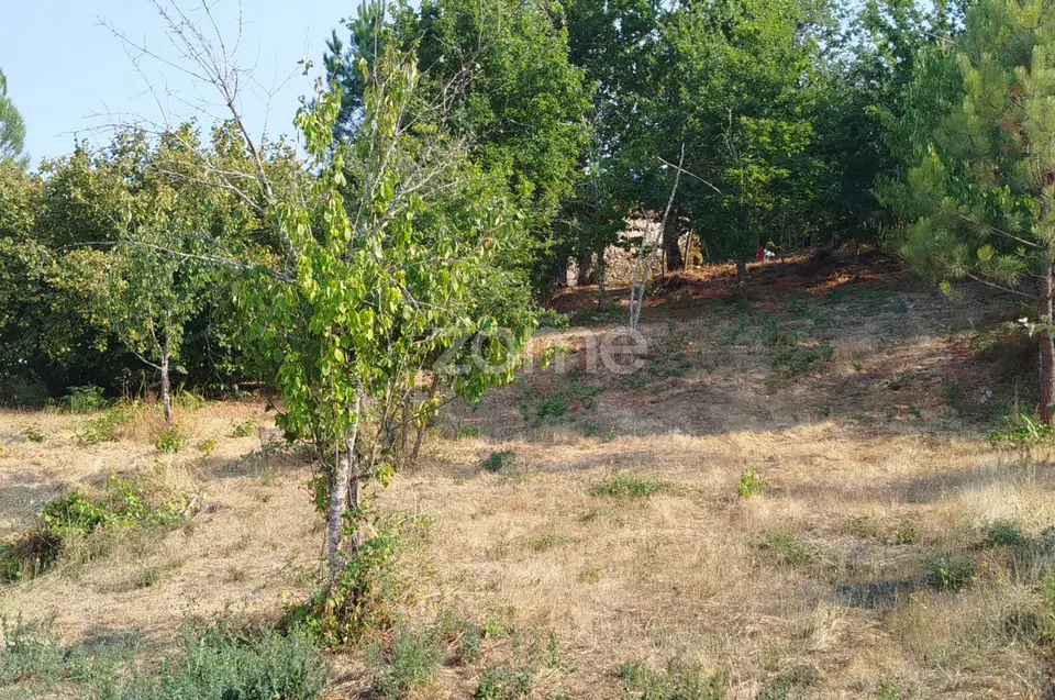 Terreno com 2.500 m2 urbanizaveis Energia, Água, Saneamento e Fibra — imagem 31