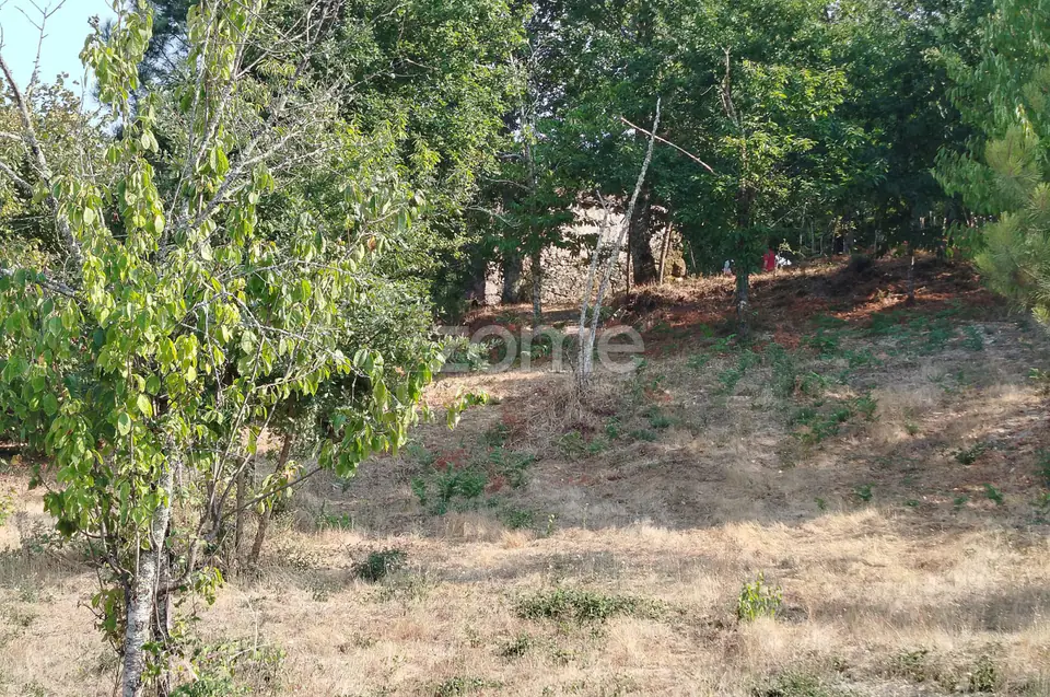 Terreno com 2.500 m2 urbanizaveis Energia, Água, Saneamento e Fibra — imagem 28