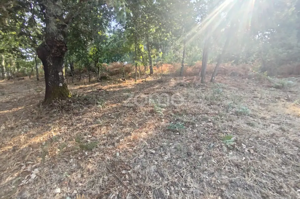 Terreno com 2.500 m2 urbanizaveis Energia, Água, Saneamento e Fibra — imagem 26
