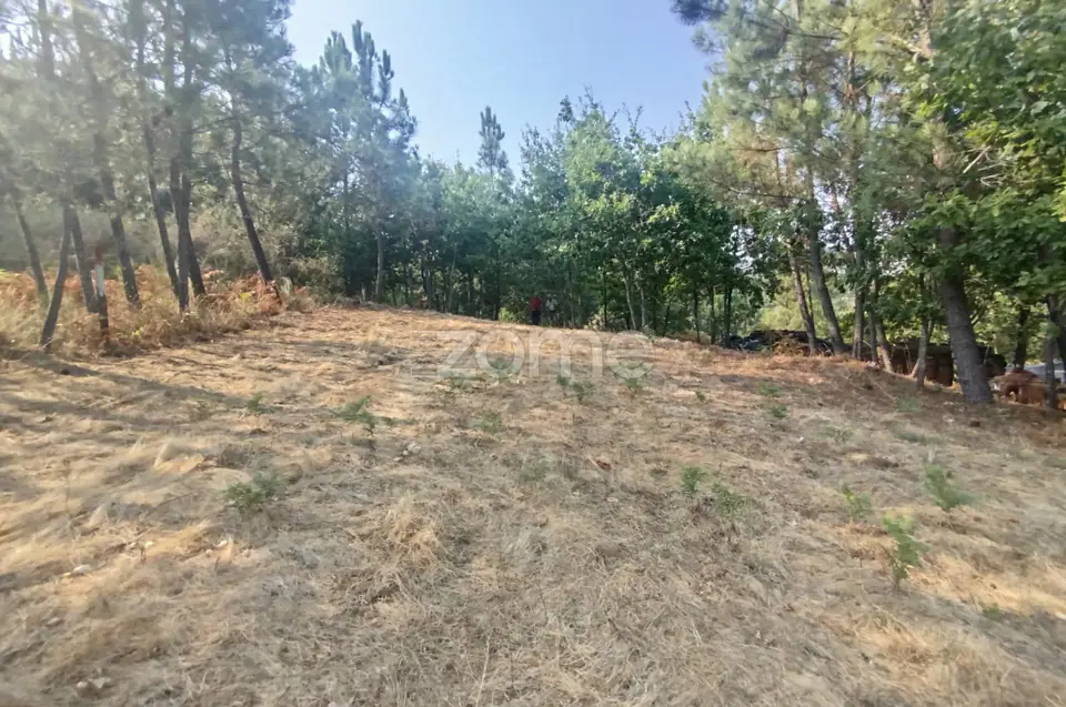 Terreno com 2.500 m2 urbanizaveis Energia, Água, Saneamento e Fibra — imagem 18