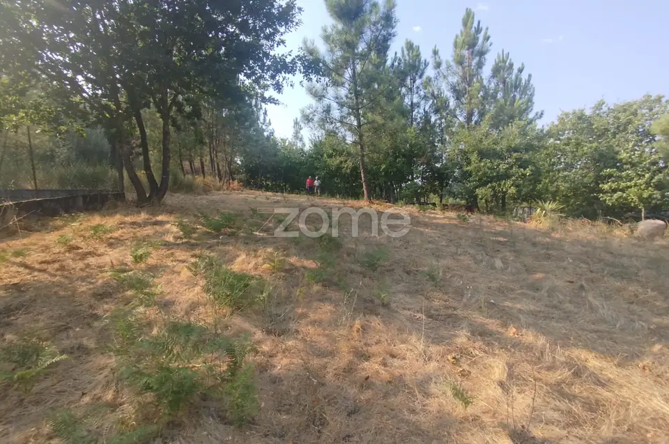 Terreno com 2.500 m2 urbanizaveis Energia, Água, Saneamento e Fibra — imagem 16