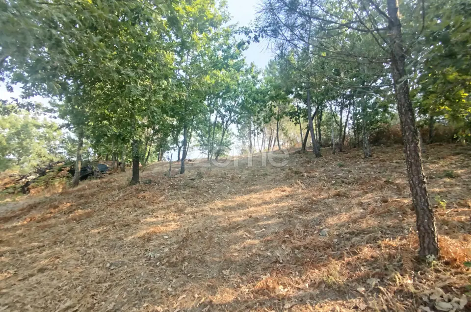 Terreno com 2.500 m2 urbanizaveis Energia, Água, Saneamento e Fibra — imagem 23
