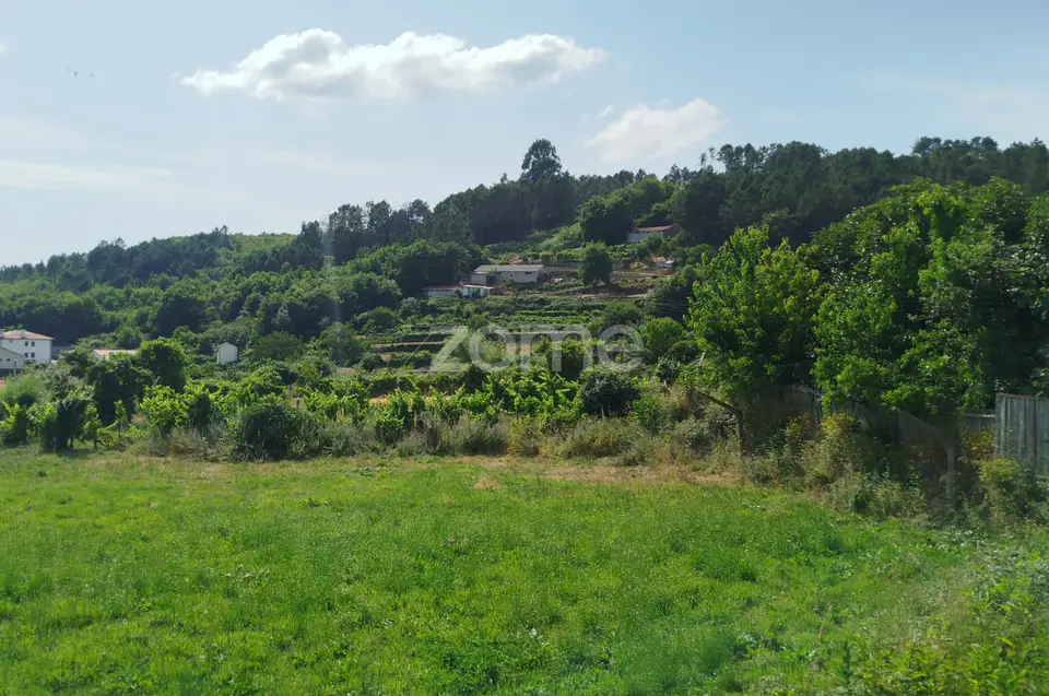 🏡✨ Moradia Rústica T3 em Pedra Beirã – Uma Jóia no Coração da Beira — imagem 27