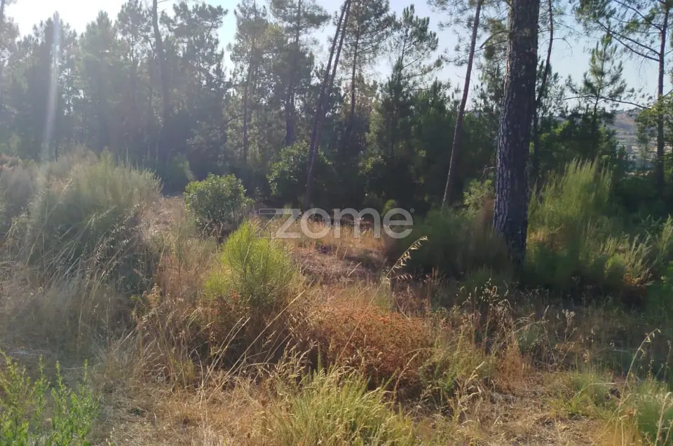 🌄✨ Terreno Urbanizável em Casal Mundinho – Um Refúgio Tranquilidade — imagem 25