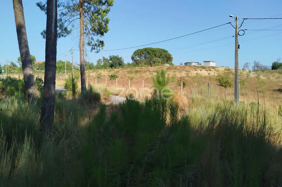 🌄✨ Terreno Urbanizável em Casal Mundinho – Um Refúgio Tranquilidade — imagem 8