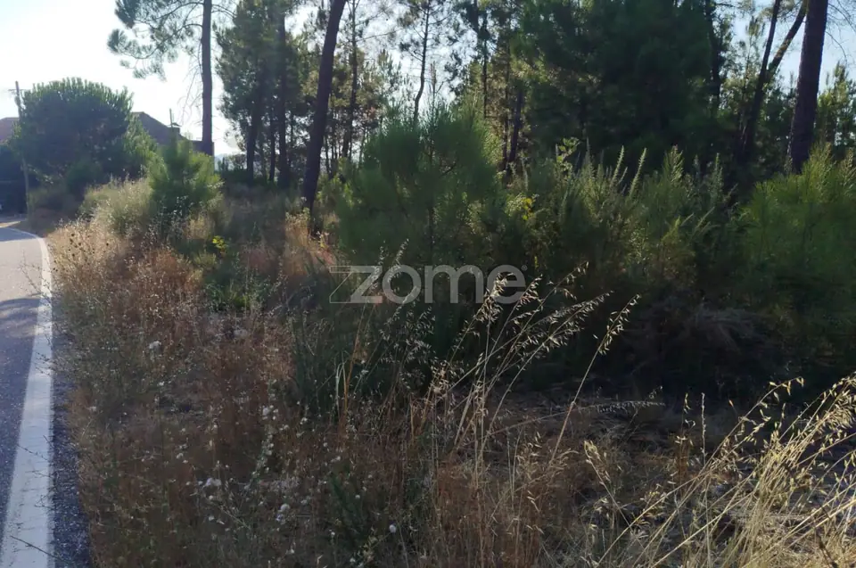 🌄✨ Terreno Urbanizável em Casal Mundinho – Um Refúgio Tranquilidade — imagem 17