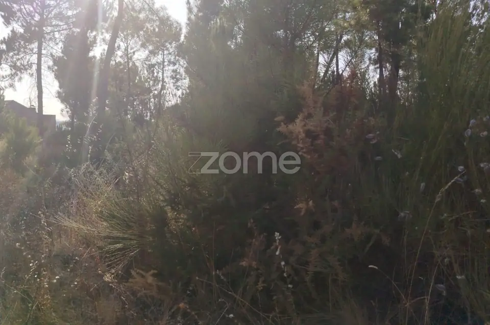 🌄✨ Terreno Urbanizável em Casal Mundinho – Um Refúgio Tranquilidade — imagem 18