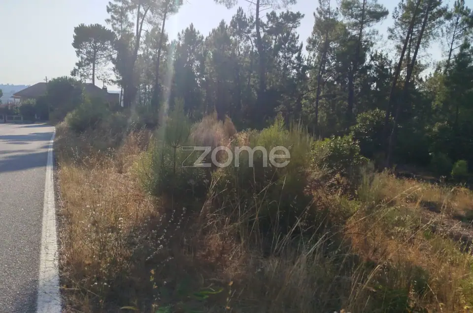 🌄✨ Terreno Urbanizável em Casal Mundinho – Um Refúgio Tranquilidade — imagem 23
