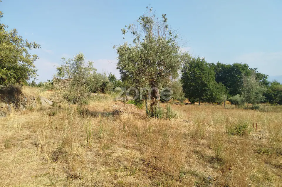 🌿✨ Terreno Urbanizável em Comieiras – Um Refúgio com Potencial — imagem 16