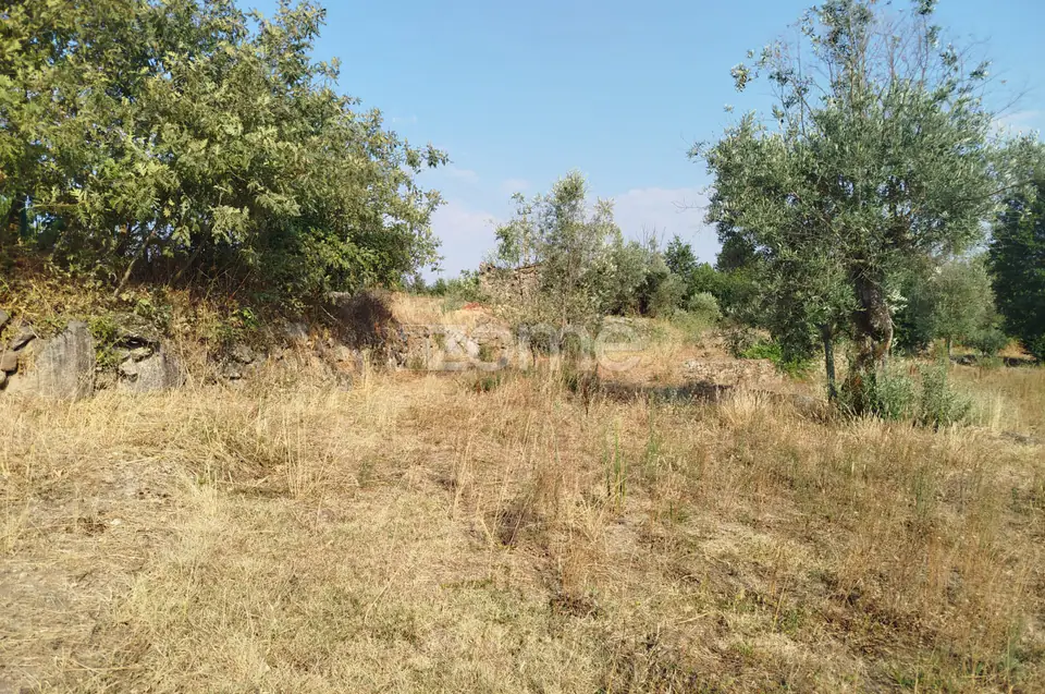 🌿✨ Terreno Urbanizável em Comieiras – Um Refúgio com Potencial — imagem 1