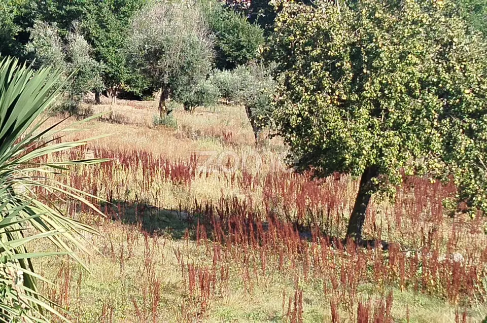 🏡 Terreno Urbanizável em Vale de Cá – Uma Oportunidade Única — imagem 9