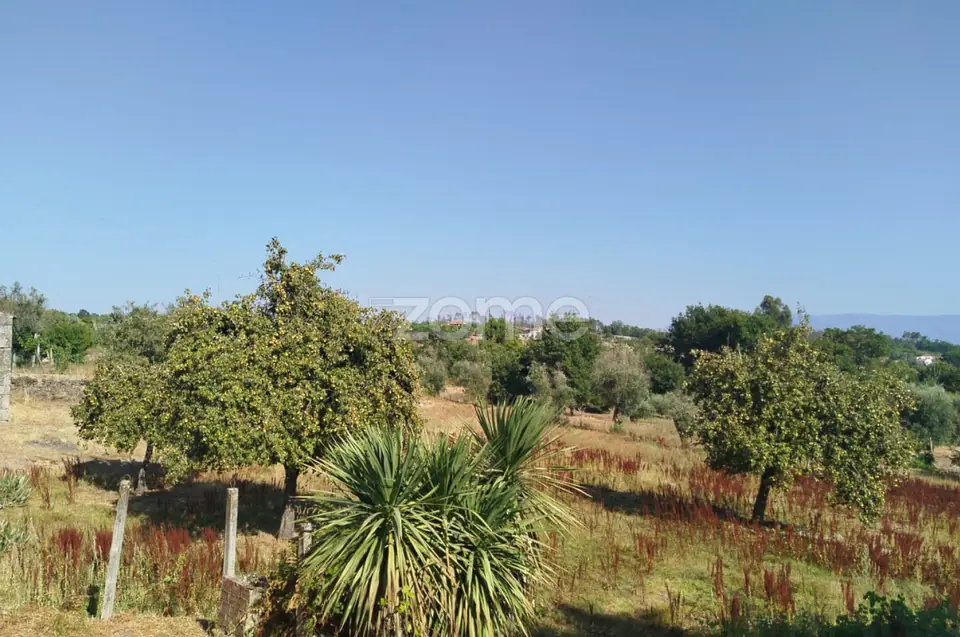 🏡 Terreno Urbanizável em Vale de Cá – Uma Oportunidade Única — imagem 13
