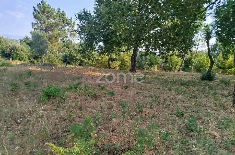 🏡 Terreno Urbanizável em Vale de Cá – Uma Oportunidade Única — imagem 27