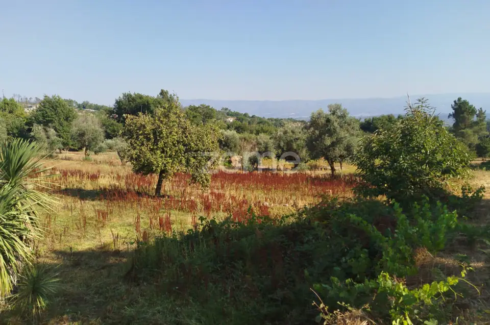 🏡 Terreno Urbanizável em Vale de Cá – Uma Oportunidade Única — imagem 11