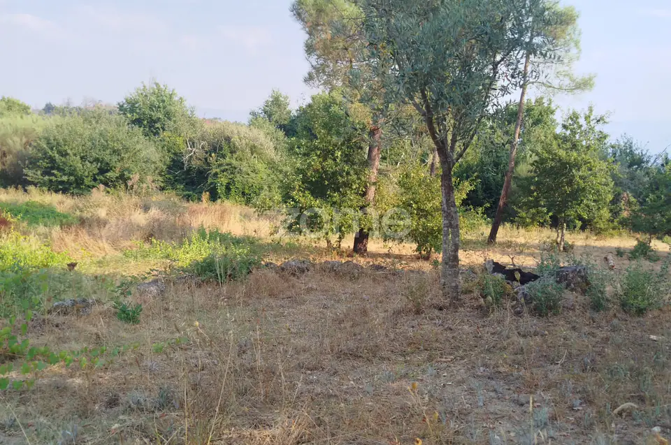 🏡 Terreno Urbanizável em Vale de Cá – Uma Oportunidade Única — imagem 22