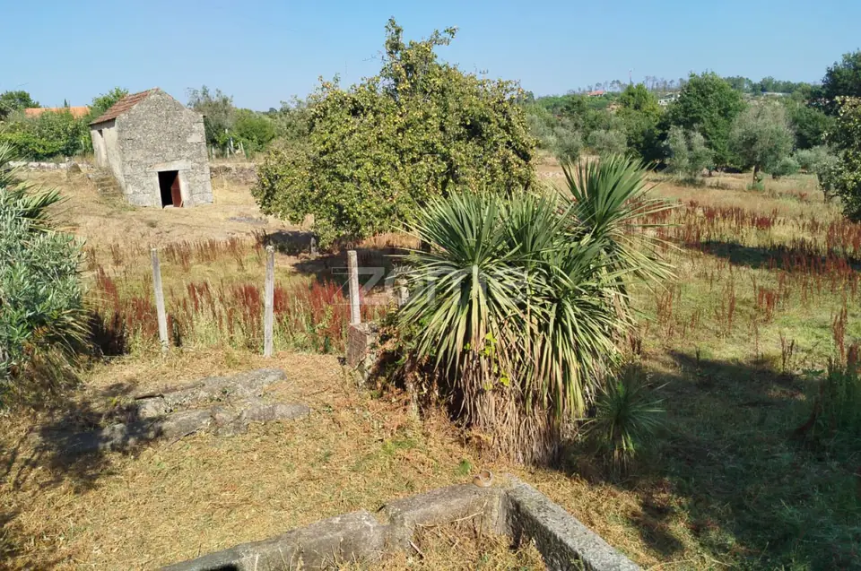 🏡 Terreno Urbanizável em Vale de Cá – Uma Oportunidade Única — imagem 10