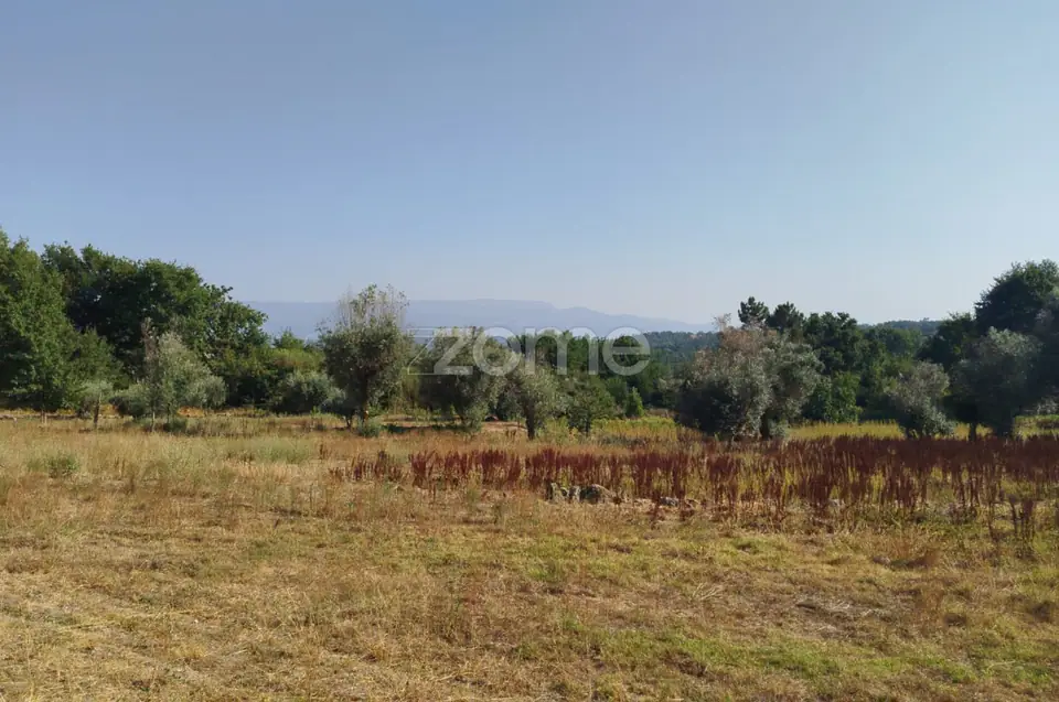 🏡 Terreno Urbanizável em Vale de Cá – Uma Oportunidade Única — imagem 19