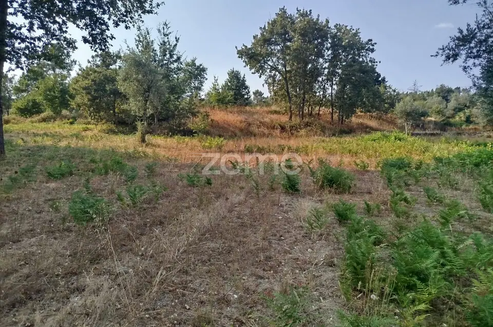 🏡 Terreno Urbanizável em Vale de Cá – Uma Oportunidade Única — imagem 26
