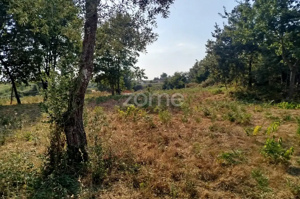 🏡 Terreno Urbanizável em Vale de Cá – Uma Oportunidade Única — imagem 30