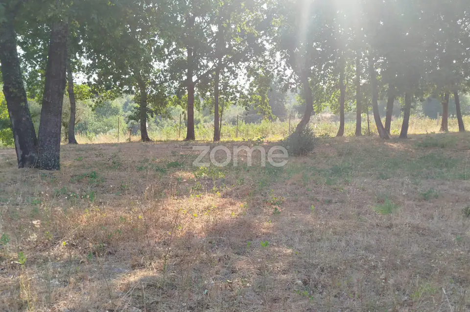 🏡 Terreno Urbanizável em Vale de Cá – Uma Oportunidade Única — imagem 24